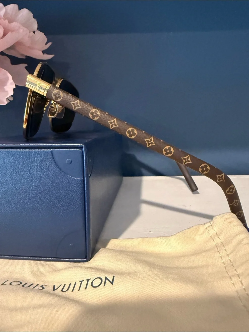 Louis Vuitton authentic louis